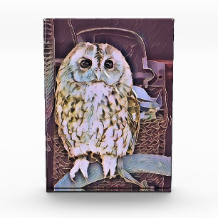 EULE FOTOBLOCK