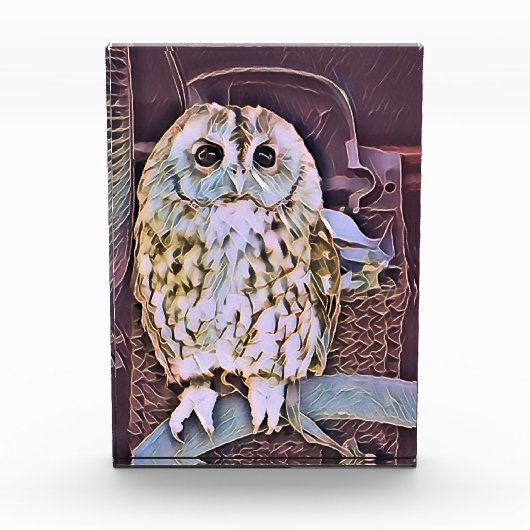 EULE FOTOBLOCK (Vorderseite)