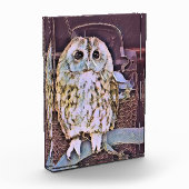 EULE FOTOBLOCK (Links)