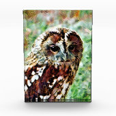 EULE FOTOBLOCK (Vorderseite)