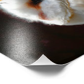 EULE FOTODRUCK (Ecke)