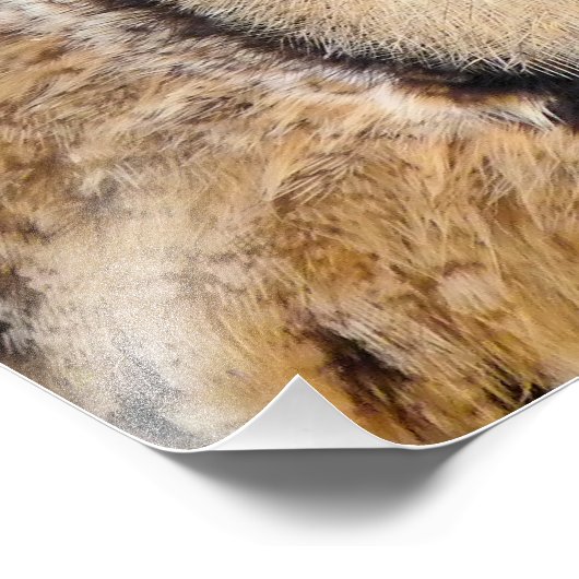 EULE FOTODRUCK (Ecke)