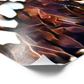 EULE FOTODRUCK (Ecke)