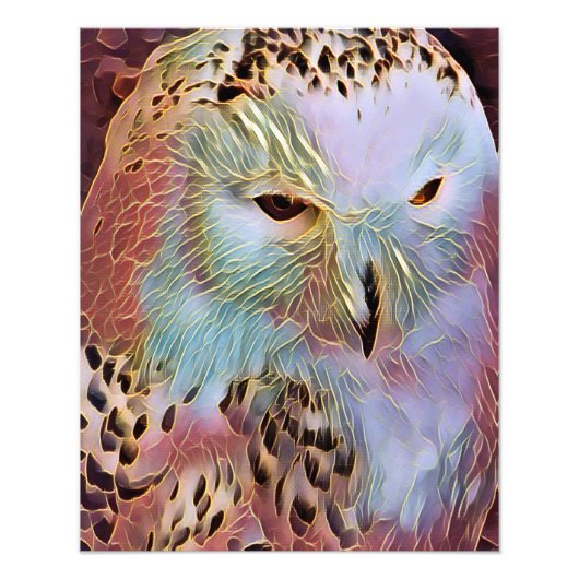 EULE FOTODRUCK (Vorne)