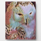 EULE FOTOPLATTE (Vorderseite)