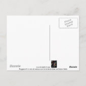 Eule frogmouth postkarte (Rückseite)