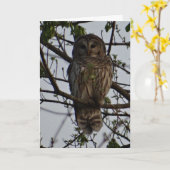 Eule, Geburtstag Karte (Gelbe Blume)