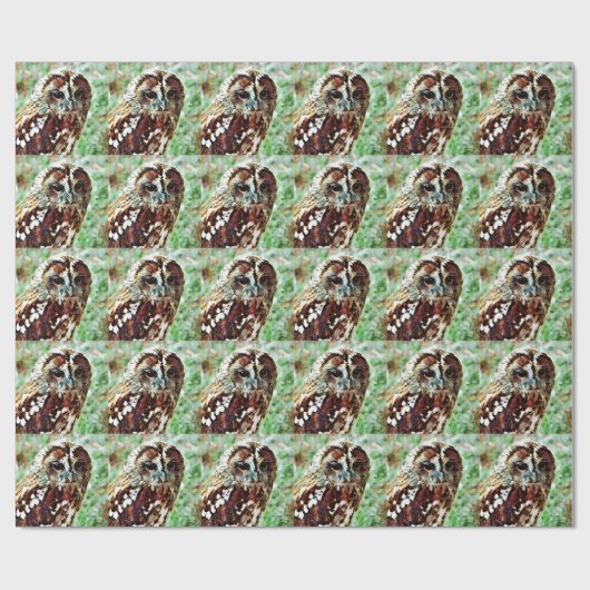 EULE GESCHENKPAPIER (Flach)