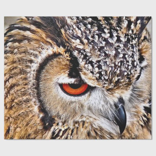 EULE GESCHENKPAPIER (Flach)