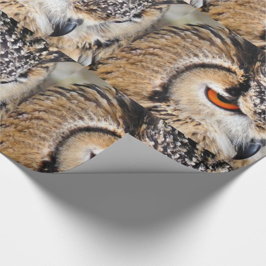 EULE GESCHENKPAPIER (Ecke)