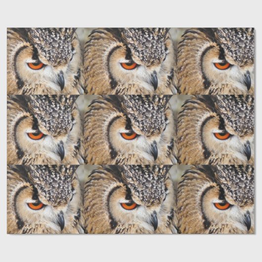 EULE GESCHENKPAPIER (Flach)