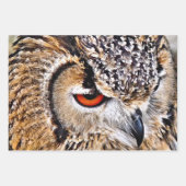 EULE GESCHENKPAPIER SET (Vorderseite 3)