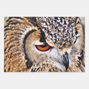 EULE GESCHENKPAPIER SET