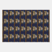 Eule Geschenkpapier Set (Vorderseite 3)