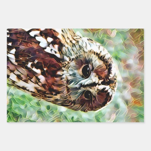 EULE GESCHENKPAPIER SET (Vorderseite 3)