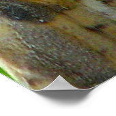 Eule gibt Hoofie Poster (Ecke)