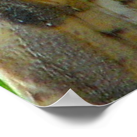 Eule gibt Hoofie Poster (Ecke)