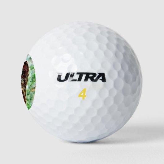 EULE GOLFBALL (Logo)