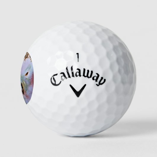 EULE GOLFBALL (Logo)