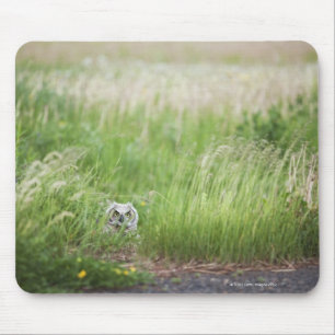Eule im Gras Mousepad