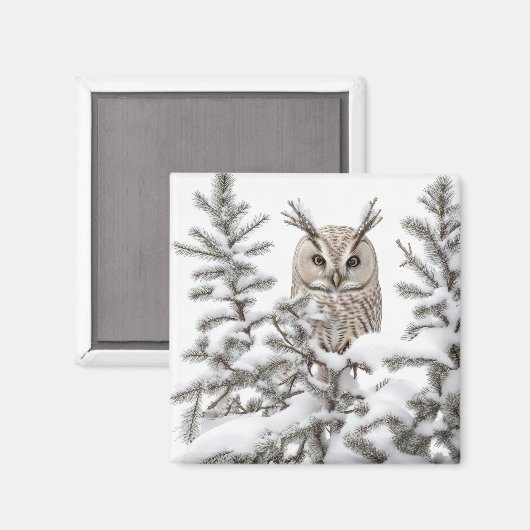 Eule im Schnee Magnet (Vorderseite/Rückseite)