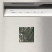Eule im Wald Magnet (In Situ (Geschirrspüler))