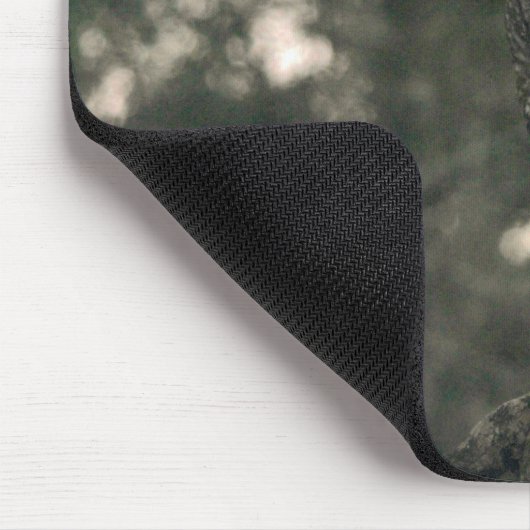 Eule im Wald Mousepad (Ecke)