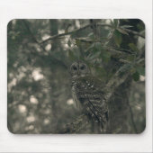 Eule im Wald Mousepad (Vorne)