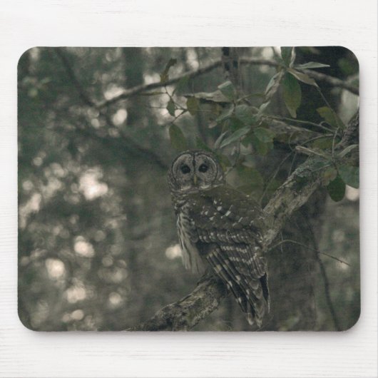 Eule im Wald Mousepad (Vorne)
