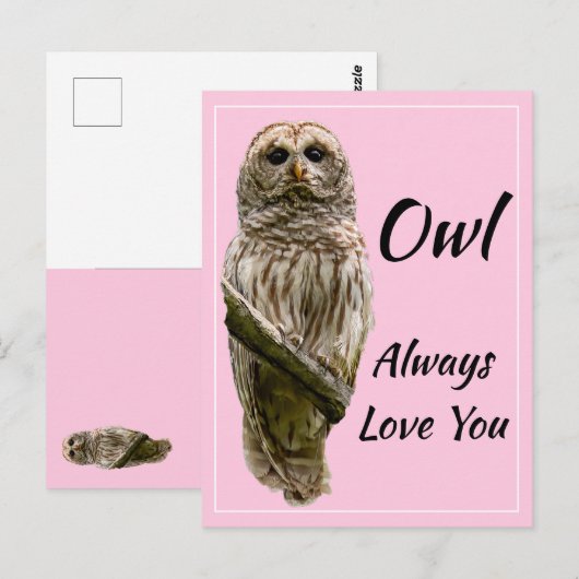 Eule immer Liebe Postkarte (Vorne/Hinten)