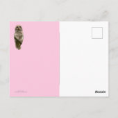 Eule immer Liebe Postkarte (Rückseite)