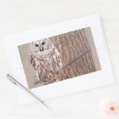 Eule in Baumart-Natur-Vogel fügt Text hinzu Rechteckiger Aufkleber (Umschlag)