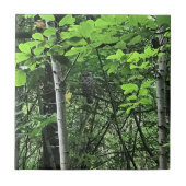 Eule in den Bäumen, Oregon Fliese (Vorderseite)