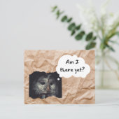 Eule in der braunen Tasche Postkarte "Bin ich noch (Stehend Vorderseite)
