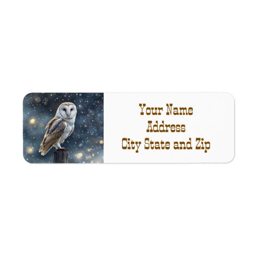 Eule in der schneewitzigen Rücksendeadresse (Vorne)