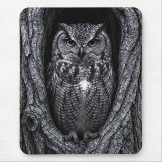 Eule in einem Baumhupen Schwarz und Weiß Mousepad