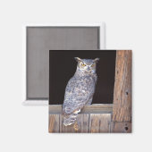 Eule in einem Fenster Magnet (Vorderseite/Rückseite)