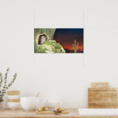 Eule in Kakteen - Poster (Küche)
