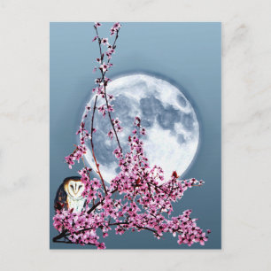 Eule in Pflaumenbaum Postkarte