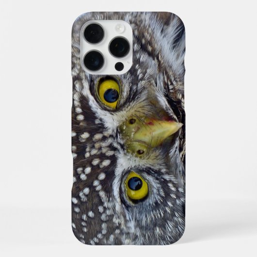 Eule iPhone Hülle (Rückseite)