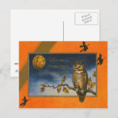Eule Jack O Lantern Kürbis Postkarte (Vorne/Hinten)