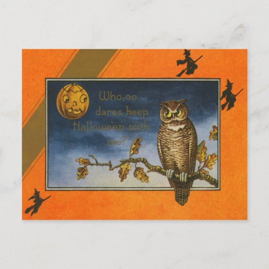 Eule Jack O Lantern Kürbis Postkarte (Vorderseite)