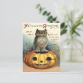 Eule Jack O Lantern Kürbis Postkarte (Stehend Vorderseite)