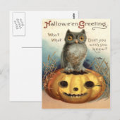 Eule Jack O Lantern Kürbis Postkarte (Vorne/Hinten)