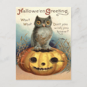 Eule Jack O Lantern Kürbis Postkarte