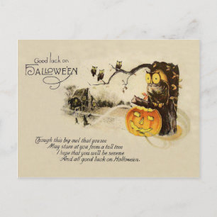 Eule Jack O' Lantern Kürbisbaum Postkarte