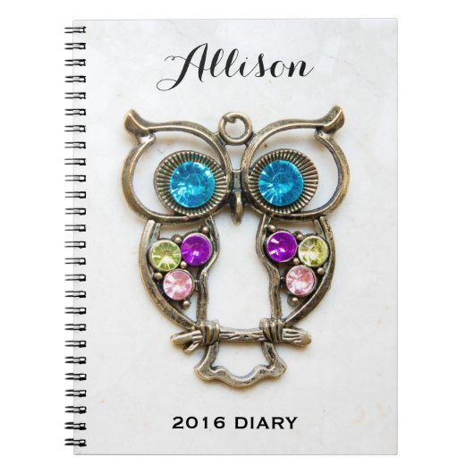 Eule Jewerly Foto-bunte Augen und Flügel Notizblock (Vorderseite)