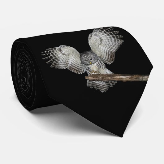 Eule Krawatte (Gerollt)