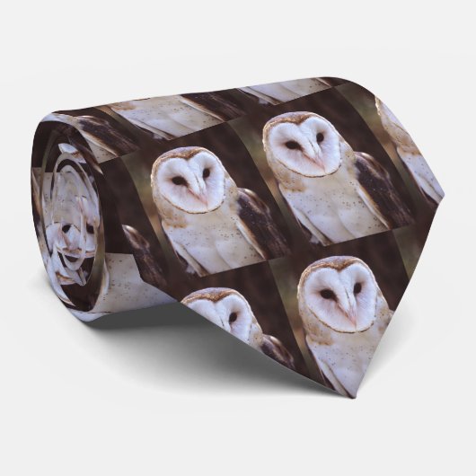 Eule Krawatte (Gerollt)