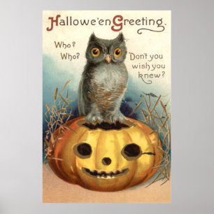 Eule Kürbis Jack O Lantern Poster